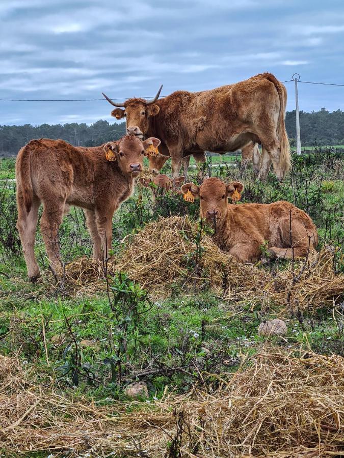 Herdade Da Vagem Rogil Esterno foto