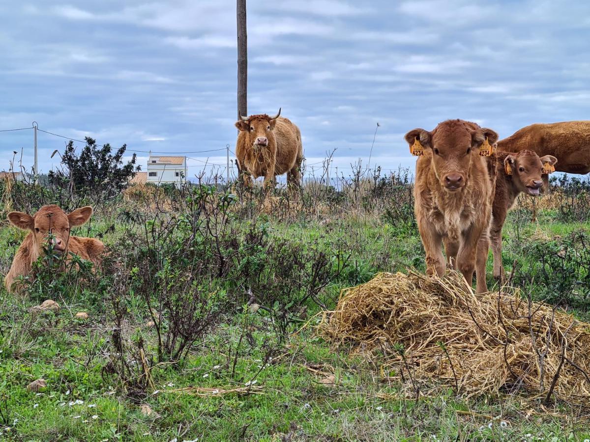 Herdade Da Vagem Rogil Esterno foto